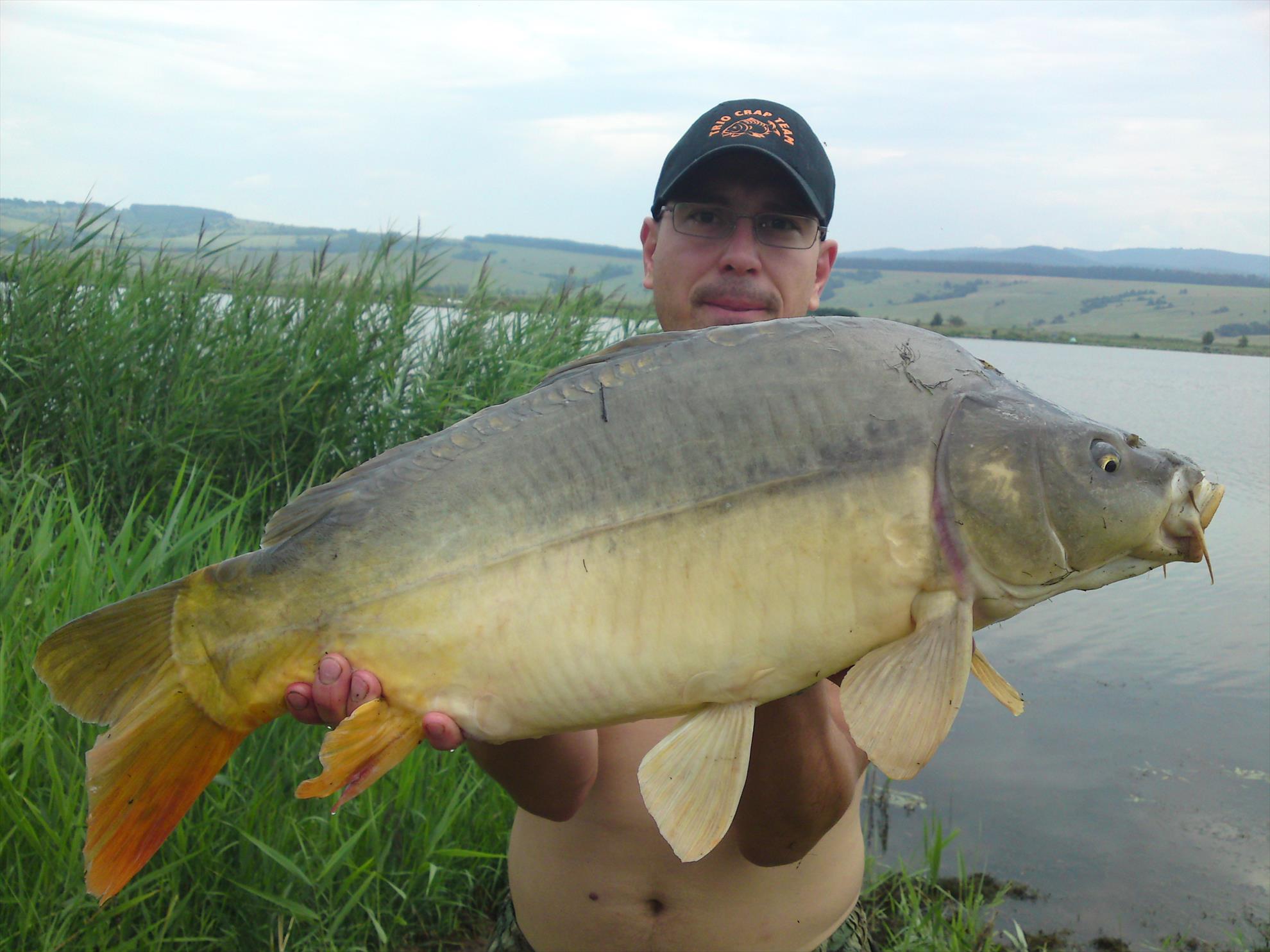 De toate - dsc00800.JPG